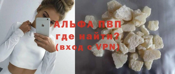 прущие грибы Аркадак