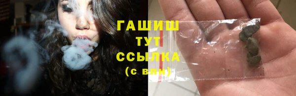 прущие грибы Аркадак