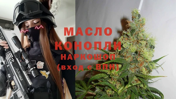 прущие грибы Аркадак