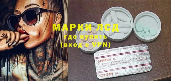 прущие грибы Аркадак