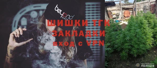 прущие грибы Аркадак