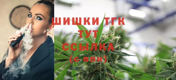 прущие грибы Аркадак