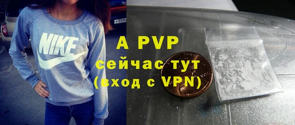 прущие грибы Аркадак