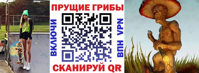Псилоцибиновые грибы Psilocybe  Окуловка 